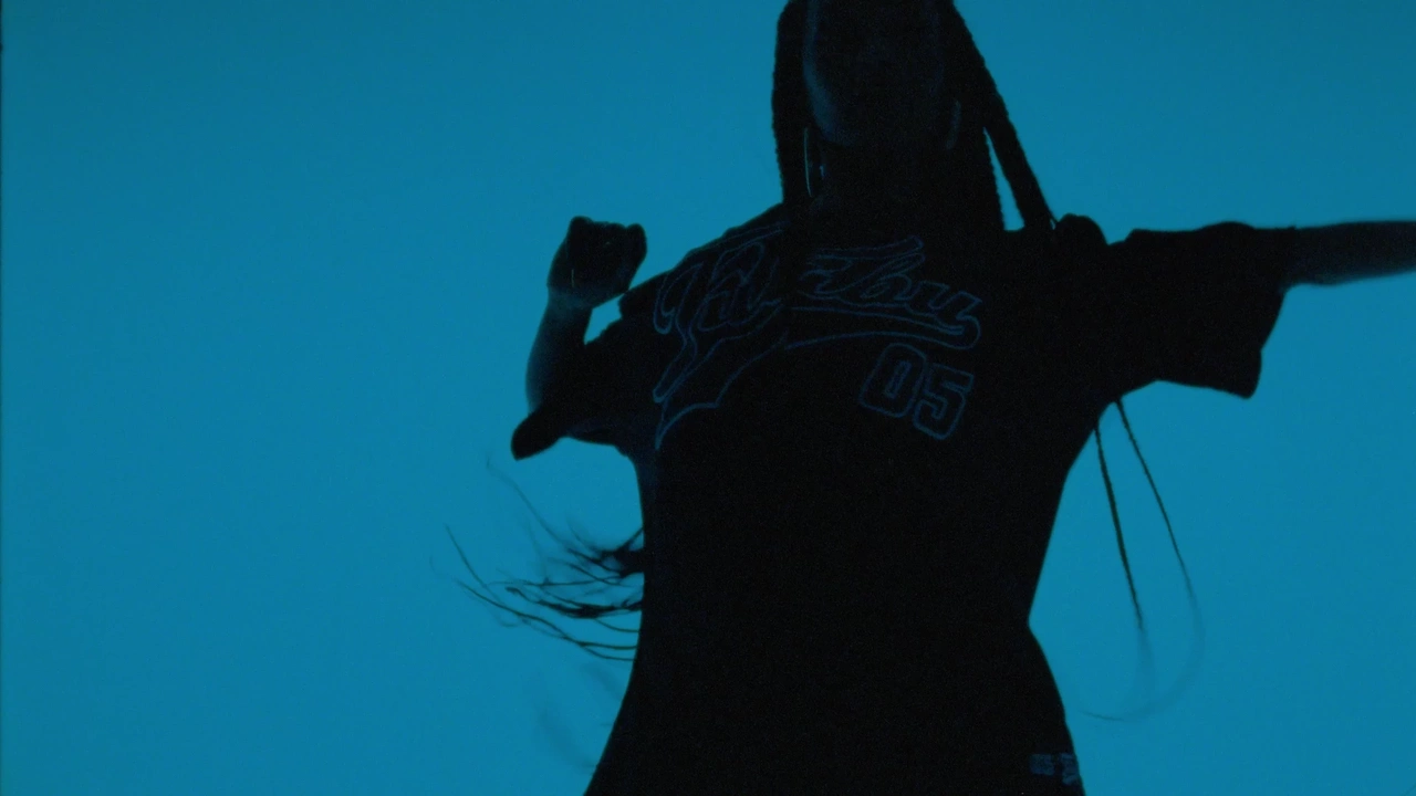 Snipes X Fubu — "reezy"