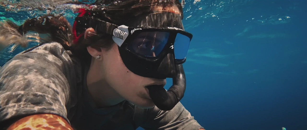 Apple — The Reef