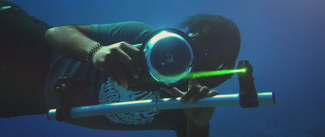 Apple — The Reef