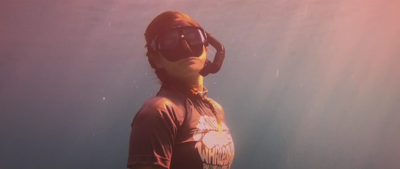 Apple — The Reef