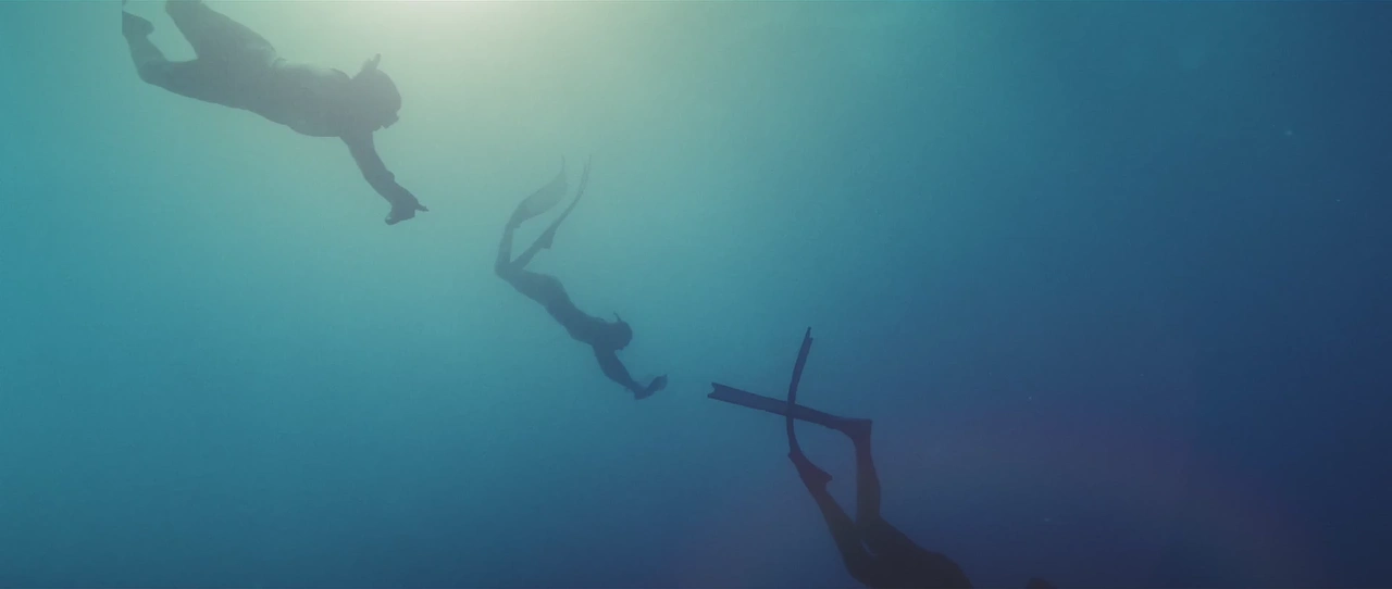 Apple — The Reef