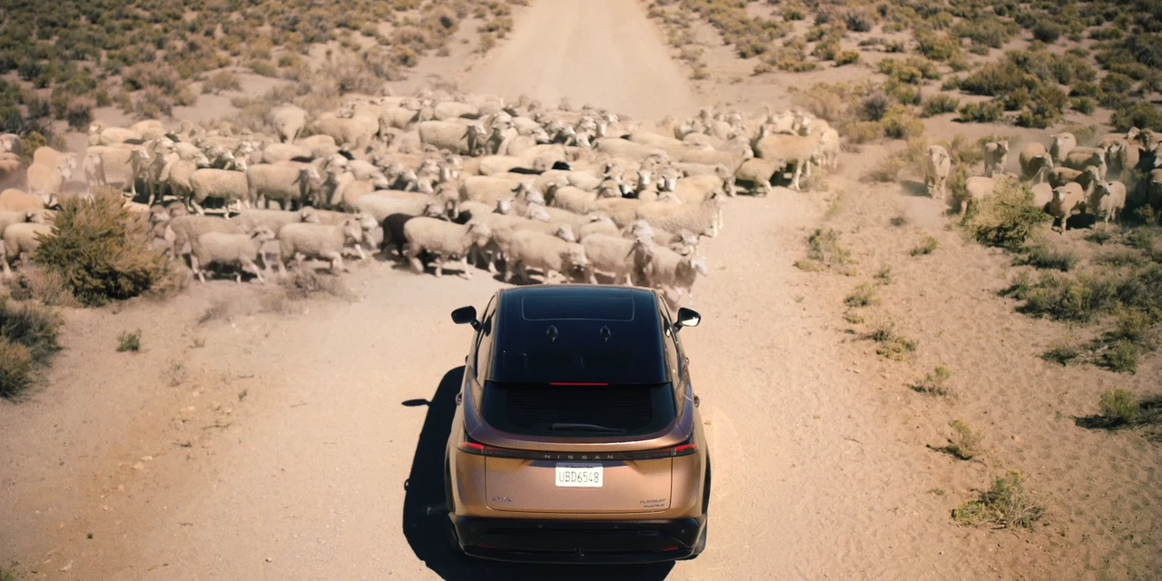 Nissan — Dualities