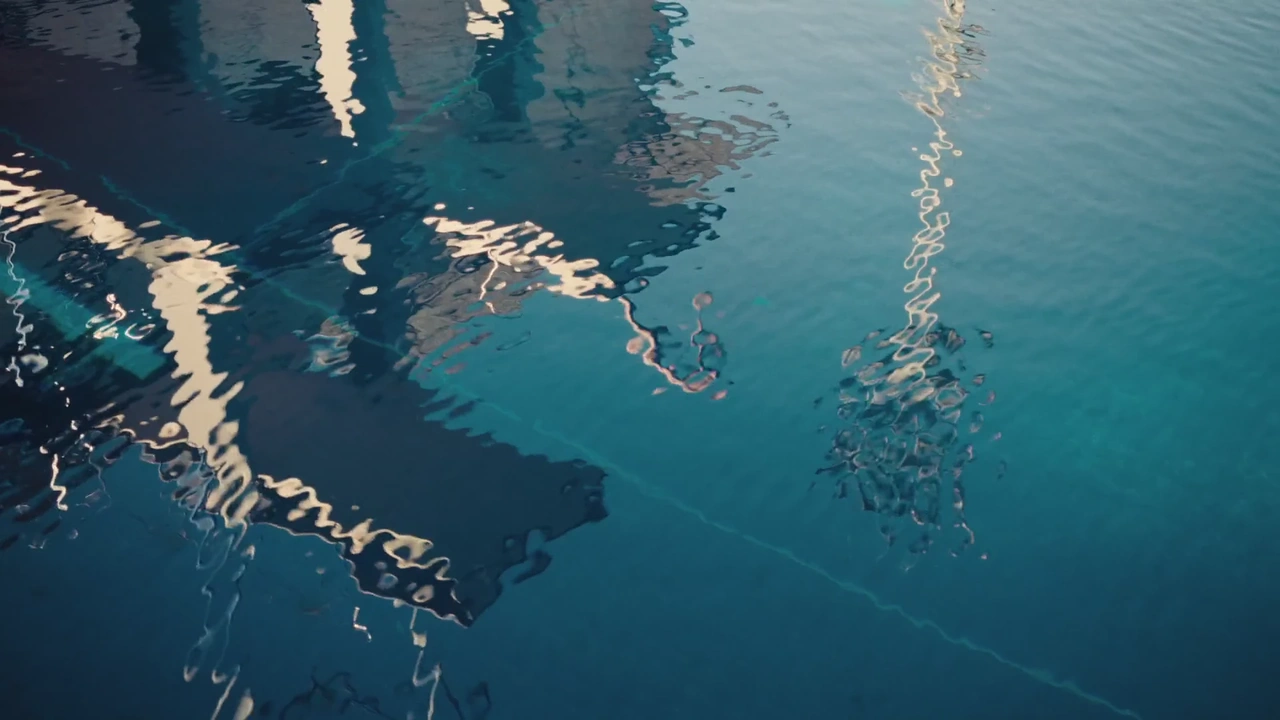 Adidas 'Move For The Planet'
