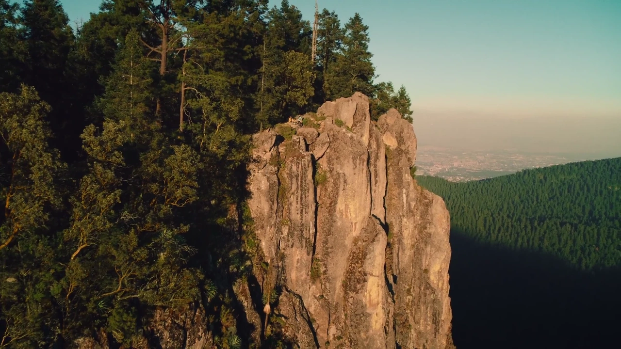 Adidas 'Move For The Planet'