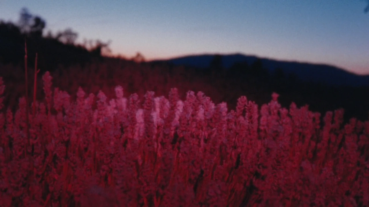 L’Occitane   Cultivating Is A Sixth Sense