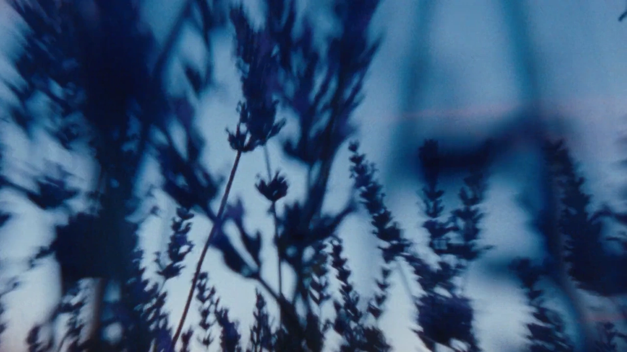 L’Occitane   Cultivating Is A Sixth Sense