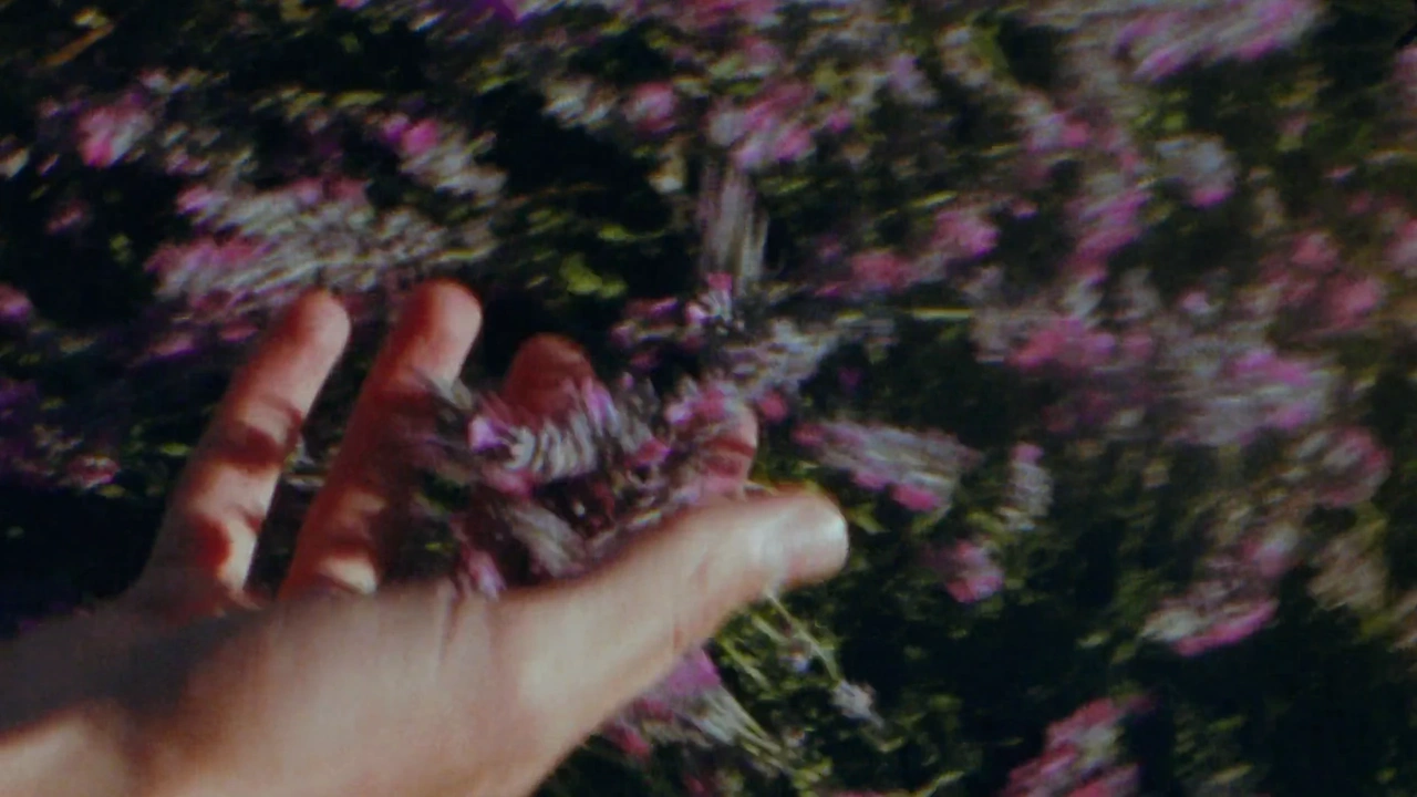 L’Occitane   Cultivating Is A Sixth Sense
