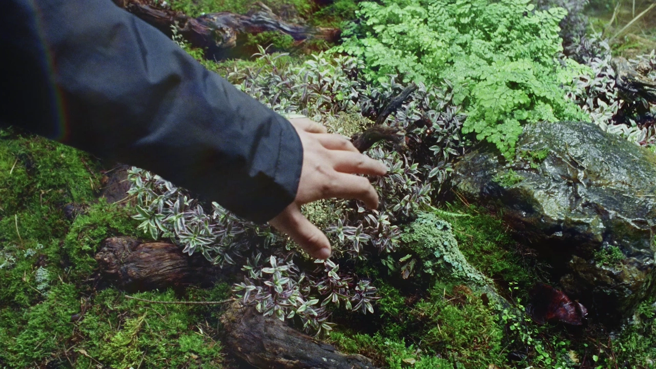 Zalando x Napapijri — Choose Future